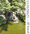 公園の小さな滝 129829233