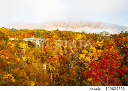 紅葉が美しい鳴子峡の風景 129829568