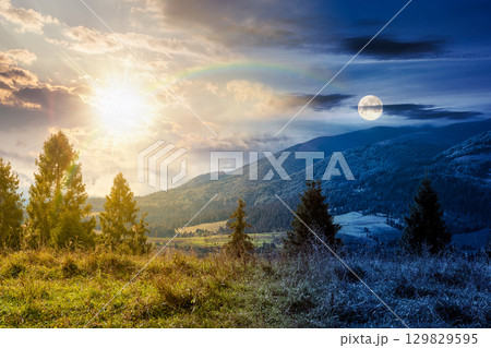 hillside of mountain range with coniferous forest and meadow. day and night time change concept. scenery of carpathian mountain in september with sun and moon at twilight 129829595