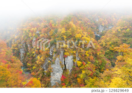 朝靄の紅葉の鳴子峡を走る列車 129829649