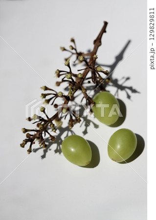 実を外したシャインマスカットの房と粒ブドウ 129829811