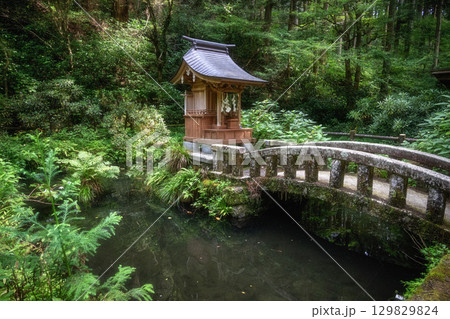 茨城県北茨城市　新緑の花園渓谷 129829824