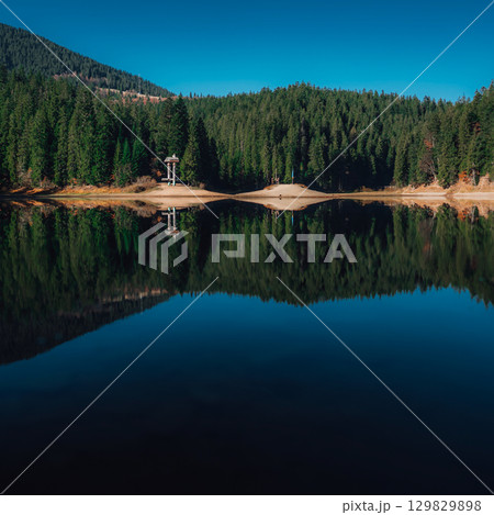 View of Synevyr Lake with Forest Reflections in Carpathian Mountains, Ukraine 129829898