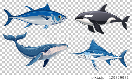 鮪魚、箭魚、鯨魚和虎鯨的插圖 129829981