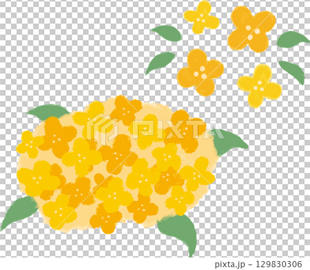 Cute hand-drawn illustration of osmanthus 129830306