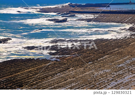 【宮崎県】道の駅フェニックス展望台から見た日南海岸の洗濯板（鬼の洗濯板） 129830321