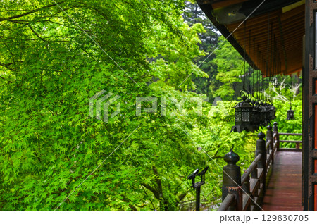 談山神社－多武峰の歴史と伝統を伝える社殿群 129830705