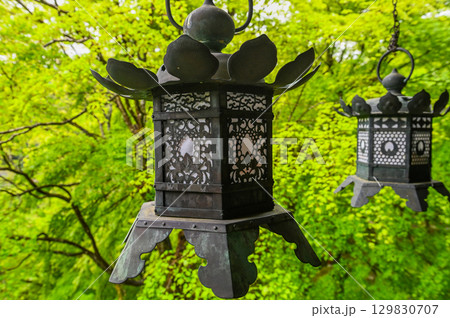 談山神社－多武峰の歴史と伝統を伝える社殿群 129830707