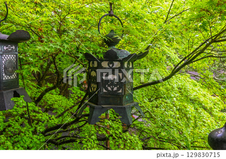 談山神社－多武峰の歴史と伝統を伝える社殿群 129830715