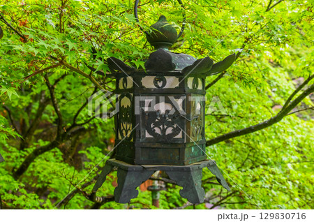 談山神社-多武峰の歴史と伝統を伝える社殿群 談山神社-多武峰の歴史と伝統を伝える社殿群 129830716