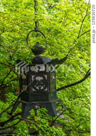 談山神社－多武峰の歴史と伝統を伝える社殿群 129830720