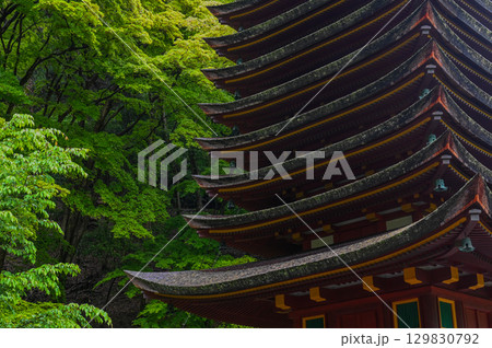 談山神社-多武峰の歴史と伝統を伝える社殿群 談山神社-多武峰の歴史と伝統を伝える社殿群 129830792