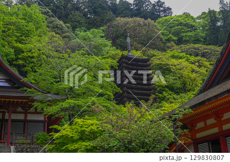 談山神社－多武峰の歴史と伝統を伝える社殿群 129830807