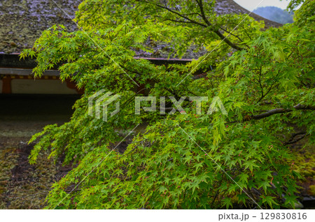 談山神社－多武峰の歴史と伝統を伝える社殿群 129830816