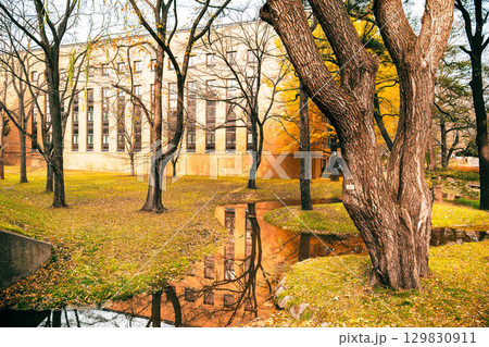 北海道大学　札幌キャンパス　秋景 129830911