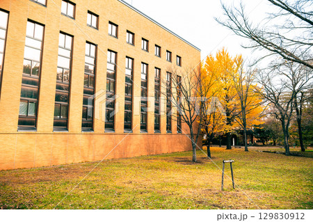 北海道大学 札幌キャンパス 秋景 北海道大学 札幌キャンパス 秋景 129830912