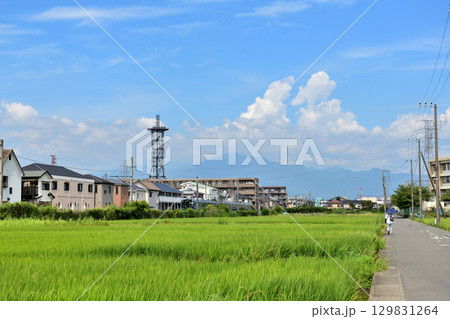 相模線寒川駅周辺の田園風景 相模線寒川駅周辺の田園風景 129831264