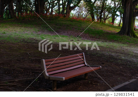 彼岸花－秋を彩る真紅の花 129831541