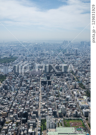 天空からの眺望-スカイツリーから見た東京都心 天空からの眺望-スカイツリーから見た東京都心 129831929