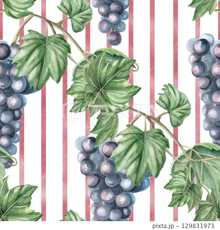 Seamless pattern with diagonal grape vines on striped background. Watercolor illustration in realistic style for packaging design, wine list, printing on kitchen textiles and fabric. Seamless pattern with diagonal grape vines on striped background. Watercolor illustration in realistic style for packaging design, wine list, printing on kitchen textiles and fabric. 129831973