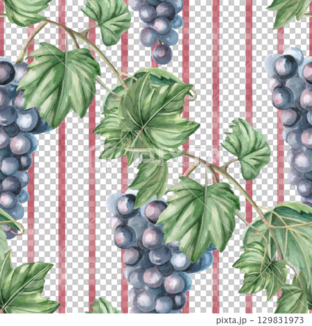 Seamless pattern with diagonal grape vines on striped background. Watercolor illustration in realistic style for packaging design, wine list, printing on kitchen textiles and fabric. 129831973