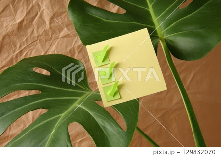 A green leaf with a yellow piece of paper with three check marks on it, Concept of organization and attention to detail 129832070