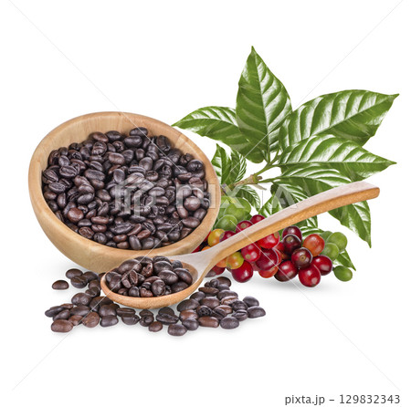 Coffee beans with leaves isolated on white background 129832343