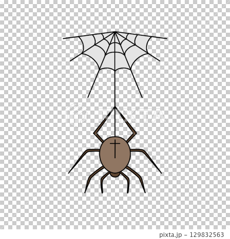 A spider is hanging from a web A spider is hanging from a web 129832563