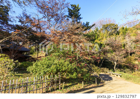 紅葉した木々と三渓園 129832797