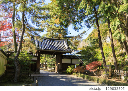 紅葉した木々と三渓園 129832805