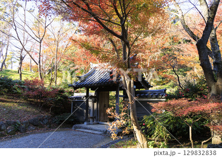 紅葉した木々と三渓園 129832838