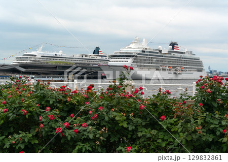 薔薇が咲く山下公園から見た大さん橋に停泊する豪華客船飛鳥Ⅲ(手前)と飛鳥Ⅱ 129832861