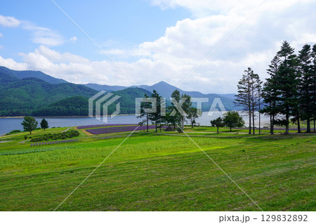 かなやま湖ラベンダー園付近の風景(南富良野町) かなやま湖ラベンダー園付近の風景(南富良野町) 129832892
