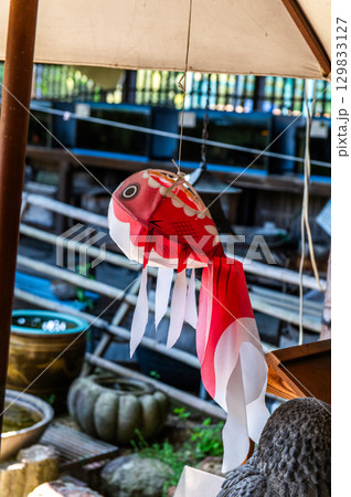 大和郡山－金魚養殖の風景 129833127