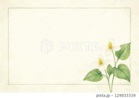 フレーム素材　ドクダミの花 129833339