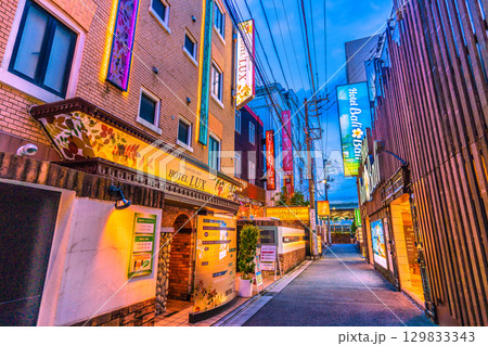 日本の東京都市景観 鶯谷駅前のホテル街などを望む 日本の東京都市景観 鶯谷駅前のホテル街などを望む 129833343