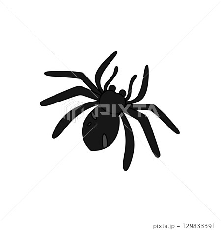 A black spider is shown in a white background A black spider is shown in a white background 129833391