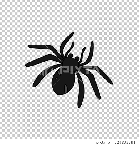 A black spider is shown in a white background A black spider is shown in a white background 129833391