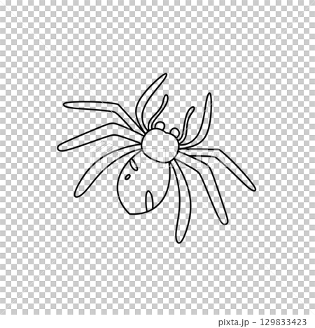 A spider is drawn in black and white A spider is drawn in black and white 129833423