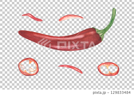 Whole and sliced red chili pepper pod watercolor illustration set on isolated background. Jalapeno, serrano plant realistic sketch clip art. Spicy ingredient for food decor, cookbooks, menu design. 129833484