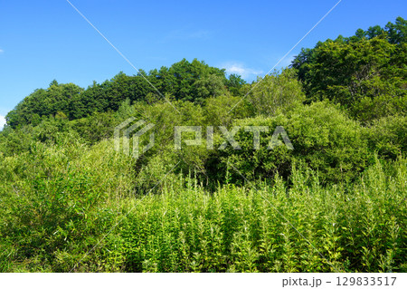 十勝川の河川敷（千代田堰堤付近）からあちらこちらを見て 129833517
