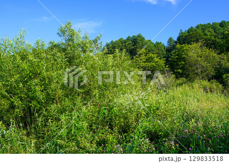 十勝川の河川敷（千代田堰堤付近）からあちらこちらを見て 129833518