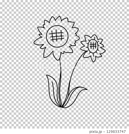 Two sunflowers are drawn in black Two sunflowers are drawn in black 129833747