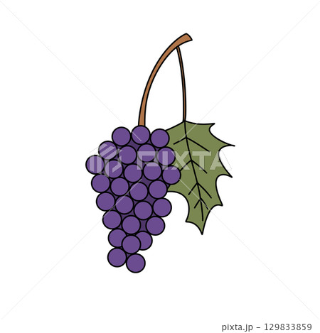 A purple grape with a green leaf on top A purple grape with a green leaf on top 129833859