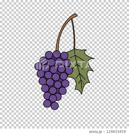 A purple grape with a green leaf on top A purple grape with a green leaf on top 129833859