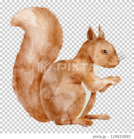 Squirrel with fluffy tail and in watercolor. Illustration of cute forest Animal. Drawing of woodland rodent for children invitations autumn themes or nursery design. Art for Baby greeting cards. 129833895