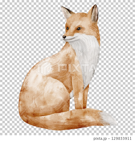 Fox with fluffy fur painted in watercolor. Illustration of woodland Animal and. Drawing of forest mammal for nursery posters, children greeting cards and invitations. Art for Baby design. Fox with fluffy fur painted in watercolor. Illustration of woodland Animal and. Drawing of forest mammal for nursery posters, children greeting cards and invitations. Art for Baby design. 129833911