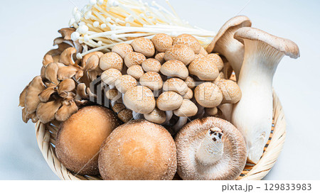 きのこの盛り合わせ　しいたけ　しめじ　えのき　舞茸　エリンギ 129833983