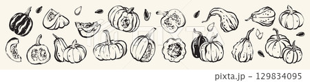 Pumpkin ink doodle, hand drawn Halloween autumn harvest illustration, fall whimsical brushstroke set Pumpkin ink doodle, hand drawn Halloween autumn harvest illustration, fall whimsical brushstroke set 129834095