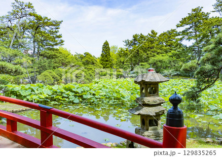 新潟県　白山神社　白山公園 129835265